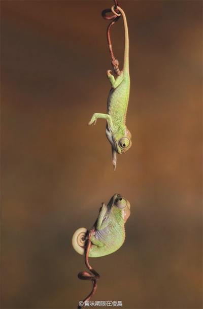 逆世界剧照的剧照