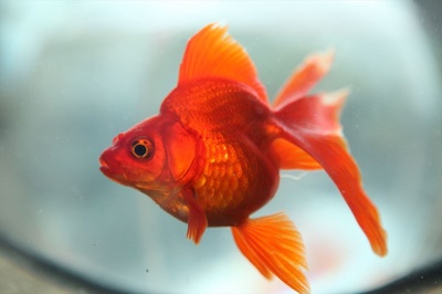 蜜之哀伤剧照的剧照