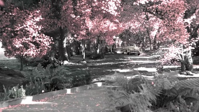 欢乐谷剧照的剧照