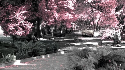 欢乐谷剧照的剧照