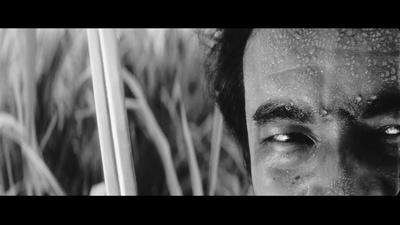 鬼婆剧照的剧照