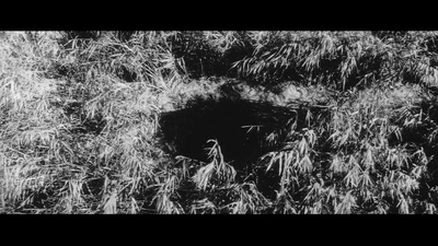 鬼婆剧照的剧照