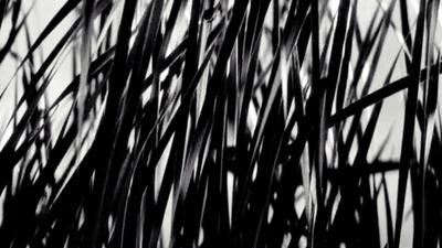 鬼婆剧照的剧照