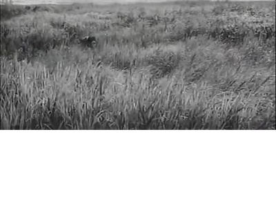 鬼婆剧照的剧照