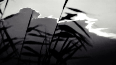 鬼婆剧照的剧照