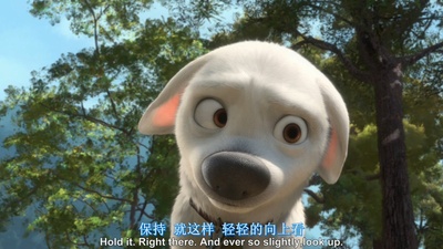 闪电狗剧照的剧照