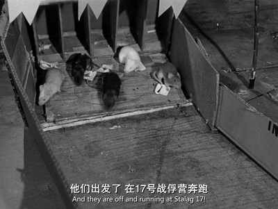 战地军魂剧照的剧照