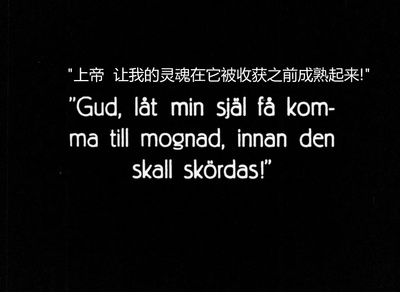 幽灵马车剧照的剧照