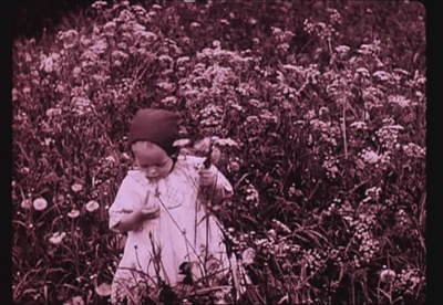 幽灵马车剧照的剧照