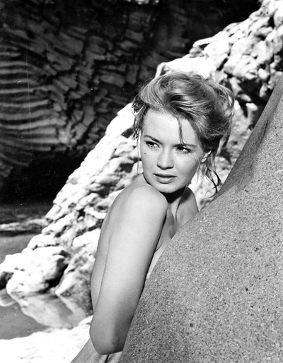 赤胆屠龙剧照的剧照