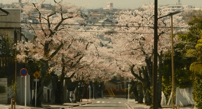 真幌站前狂想曲剧照的剧照