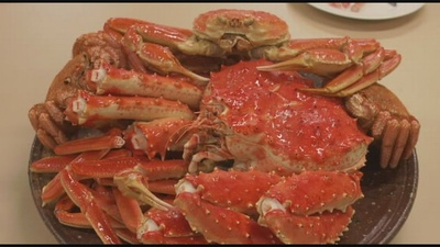 南极料理人剧照的剧照