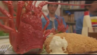 南极料理人剧照的剧照