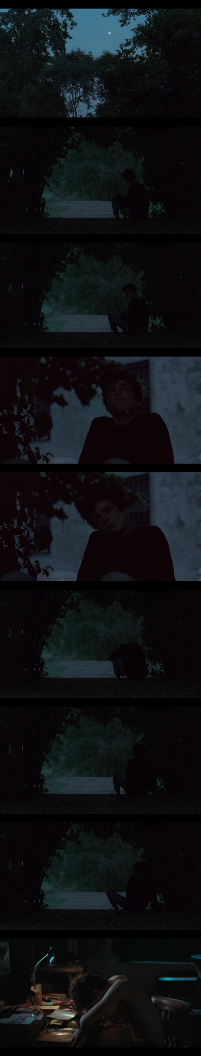 请以你的名字呼唤我剧照的剧照