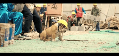 缝纫机乐队剧照的剧照