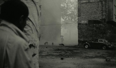 诅咒剧照的剧照