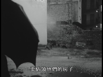 诅咒剧照的剧照