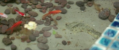 建筑学概论剧照的剧照