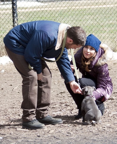 危险藏匿剧照的剧照