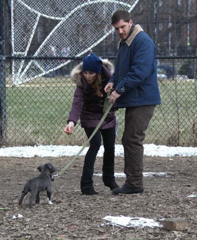 危险藏匿剧照的剧照