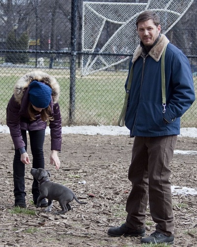 危险藏匿剧照的剧照