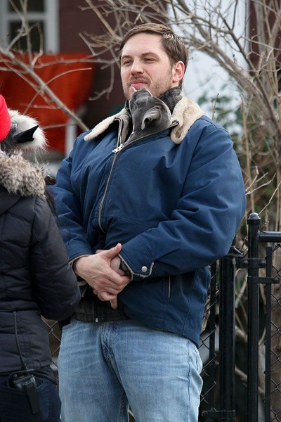 危险藏匿剧照的剧照