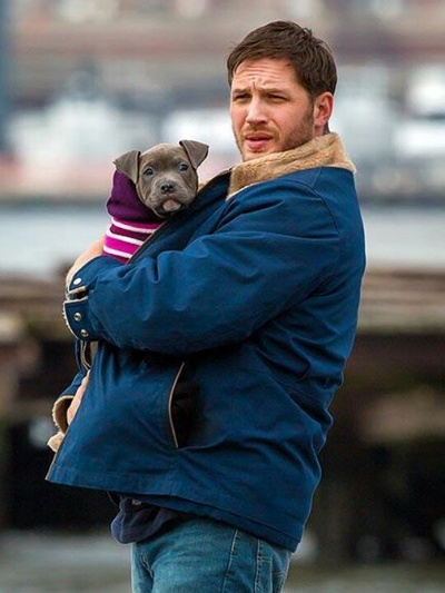 危险藏匿剧照的剧照