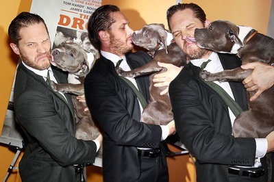 危险藏匿剧照的剧照