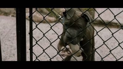 危险藏匿剧照的剧照