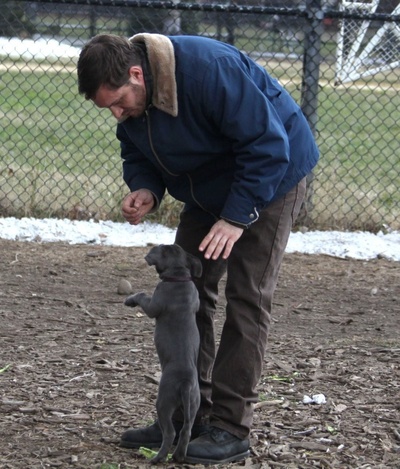危险藏匿剧照的剧照