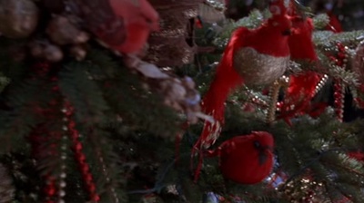 亲情无价剧照的剧照