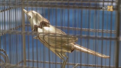 安徒生之童话人生剧照的剧照