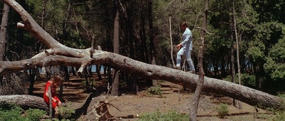 狂人皮埃罗剧照的剧照