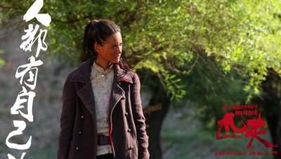 匹夫剧照的剧照