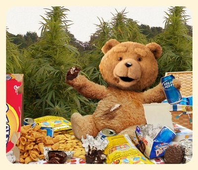 泰迪熊剧照的剧照