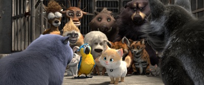 猫与桃花源剧照的剧照