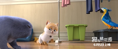 猫与桃花源剧照的剧照