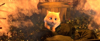 猫与桃花源剧照的剧照