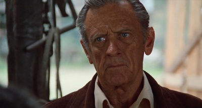 荒野有情天剧照的剧照