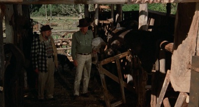 荒野有情天剧照的剧照