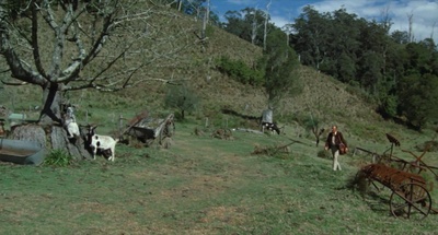 荒野有情天剧照的剧照