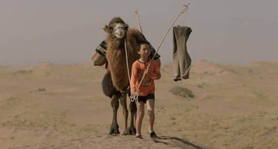 家在水草丰茂的地方剧照的剧照