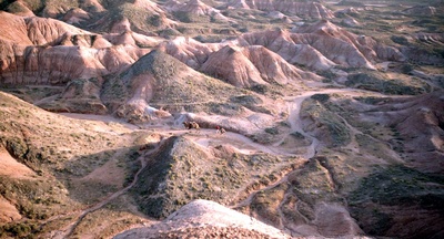家在水草丰茂的地方剧照的剧照