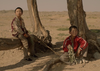家在水草丰茂的地方剧照的剧照