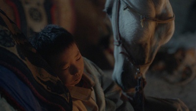 家在水草丰茂的地方剧照的剧照