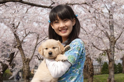 狗狗与我的十个约定剧照的剧照