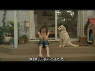 狗狗与我的十个约定剧照的剧照