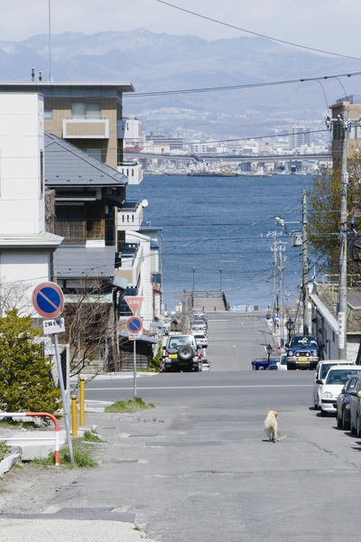 狗狗与我的十个约定剧照的剧照