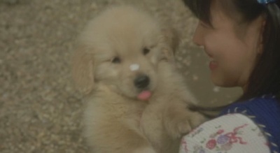 狗狗与我的十个约定剧照的剧照