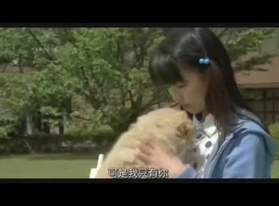 狗狗与我的十个约定剧照的剧照